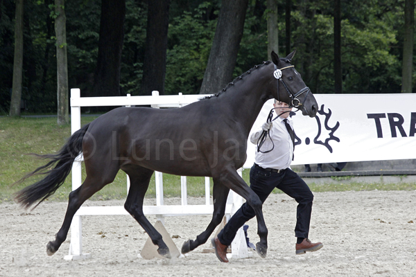 She´s outstanding © Lune Jancke